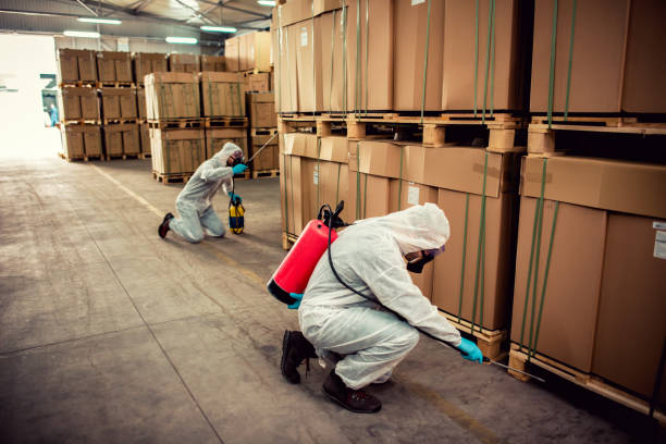 Best Pest Inspection Near Me  in Dublin, VA