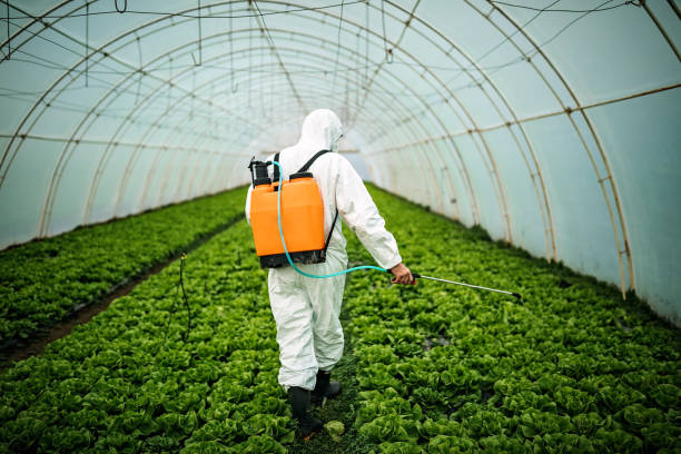 Pest Prevention Services in Dublin, VA