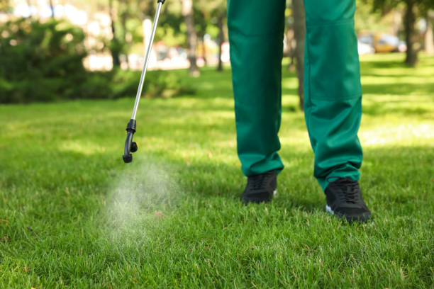 Best Residential Pest Control  in Dublin, VA