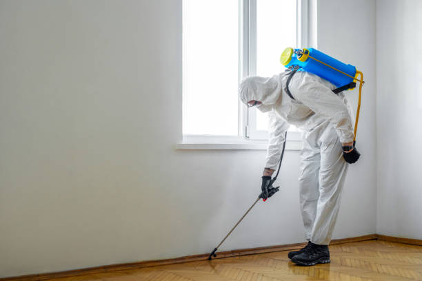 Best Commercial Pest Control Services  in Dublin, VA