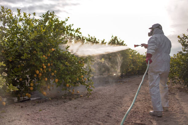 Best Mosquito Control Services  in Dublin, VA