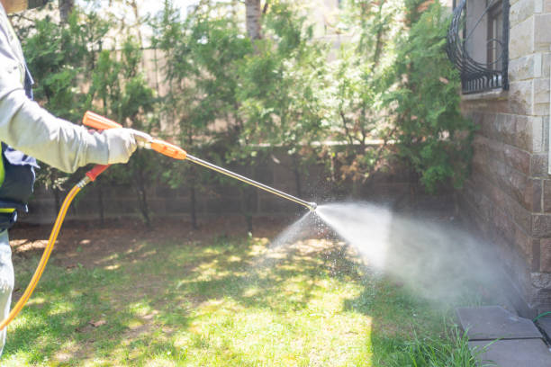 Best Affordable Pest Control Services  in Dublin, VA
