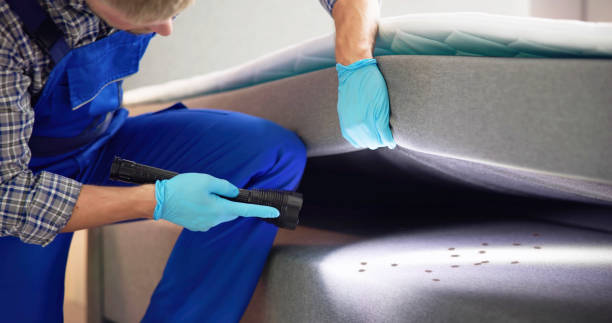 Best Pest Control Treatment  in Dublin, VA
