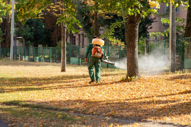 Best Pest Prevention Services  in Dublin, VA