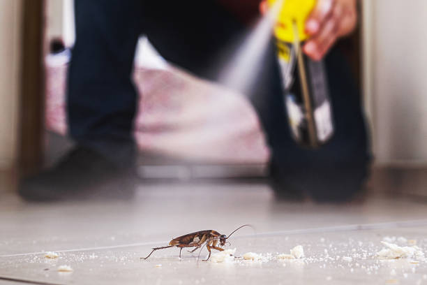 Best Best Pest Control Companies  in Dublin, VA