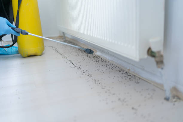 Best Pest Removal Services  in Dublin, VA